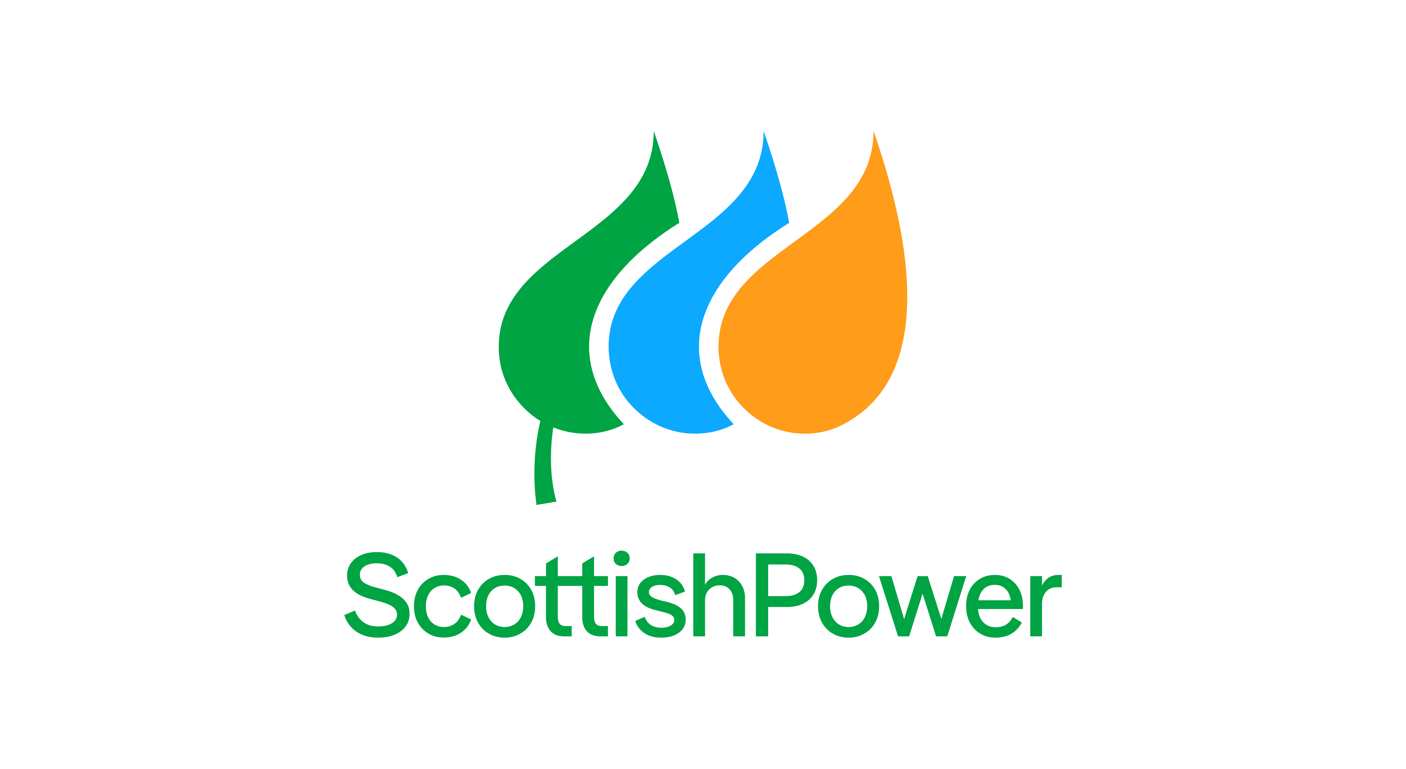 Principal Partner - Scottish Power